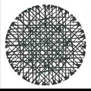 Meet your Posher, Ethan